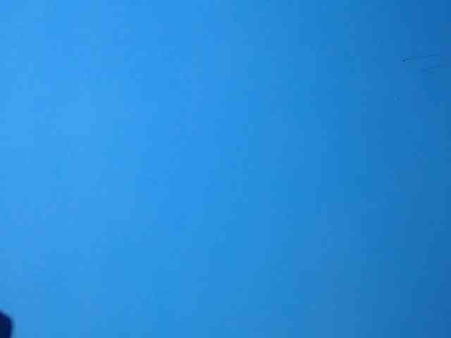 ebony-stallion ebony-stallion