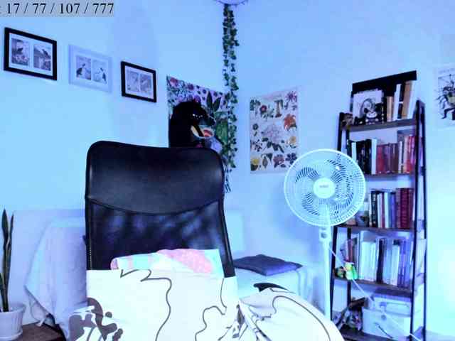 Luci--ana webcam