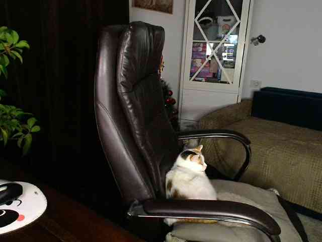 Amasha111 Live Webcam on BongaCams