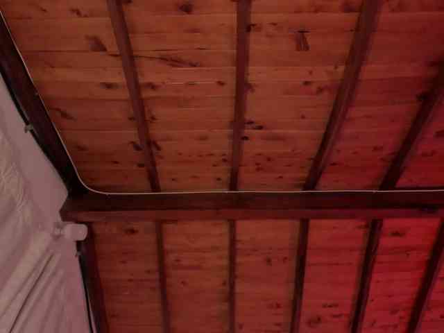 thecurvygirl thecurvygirl