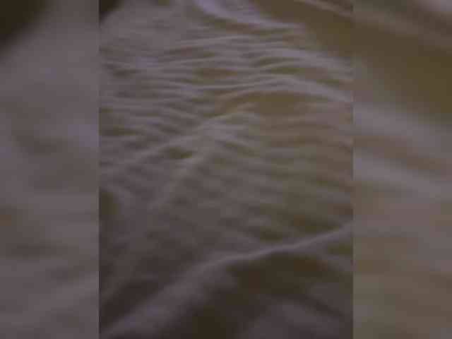 stream live sex Zlnttt