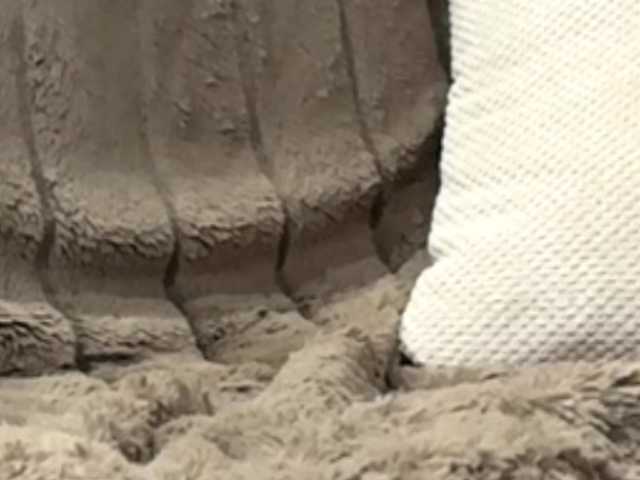 XKery's BongaCams show and profile