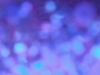 Leoncarpita Porn Show