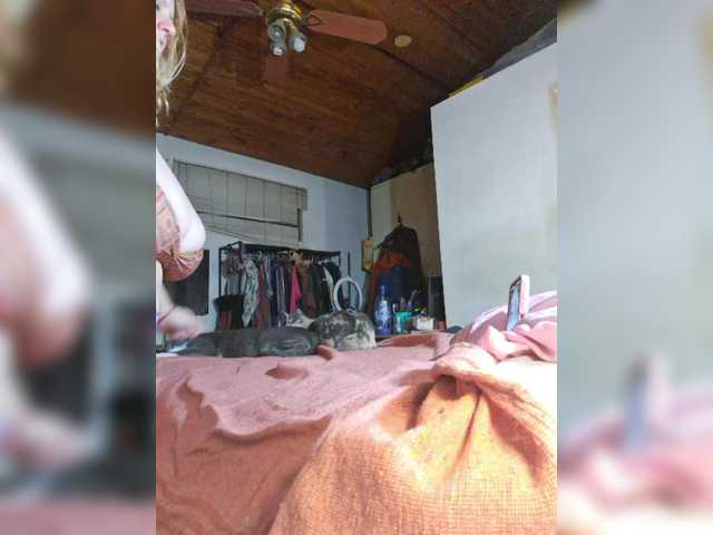 Leoncarpita webcam
