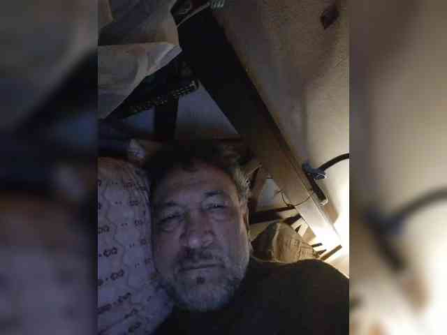 Leoncarpita webcam