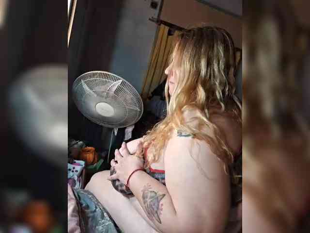 Leoncarpita webcam