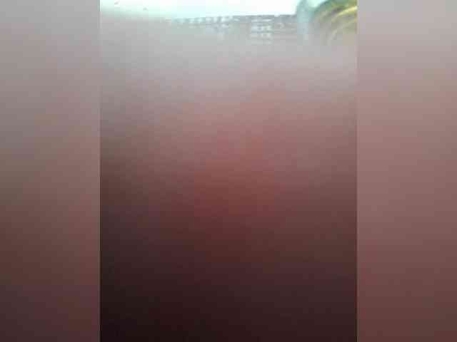 Leoncarpita webcam
