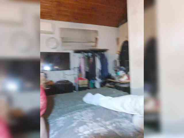 Leoncarpita webcam