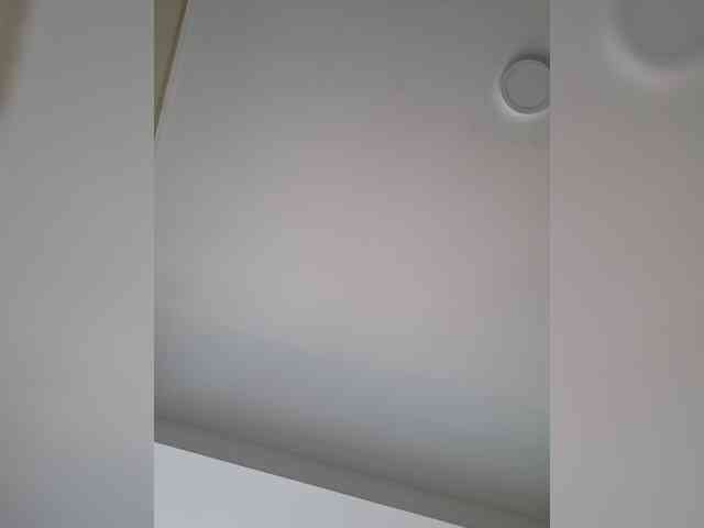 Leoncarpita Leoncarpita