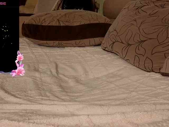 Miss-Katte Miss-Katte