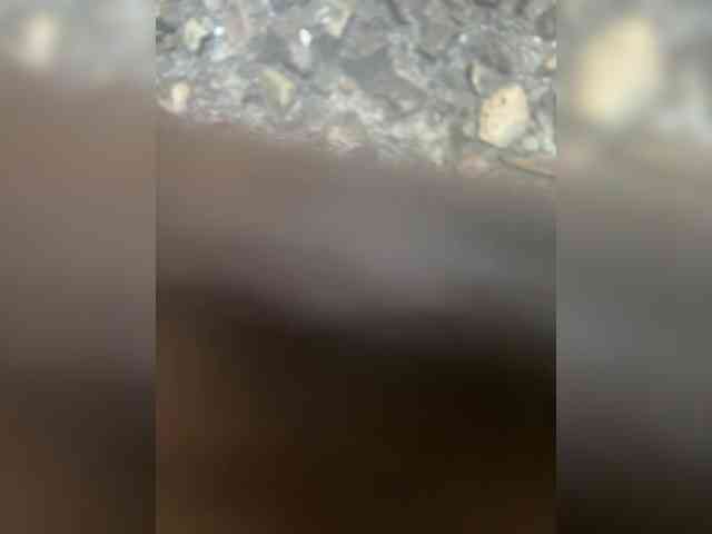 Miss-Katte webcam