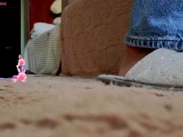 Miss-Katte Miss-Katte