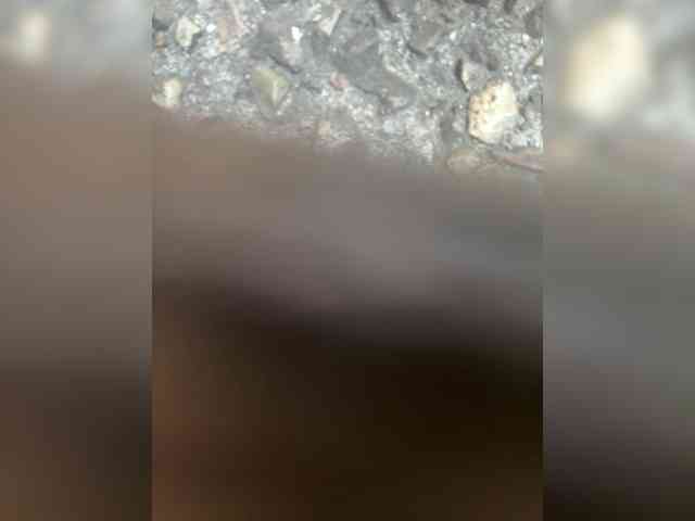 Miss-Katte webcam