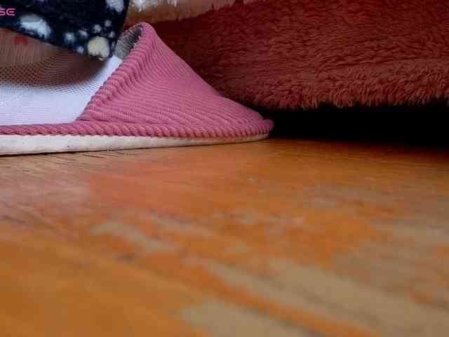 Liana-fit8 webcam