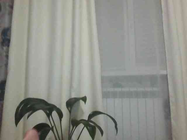 Danozka webcam