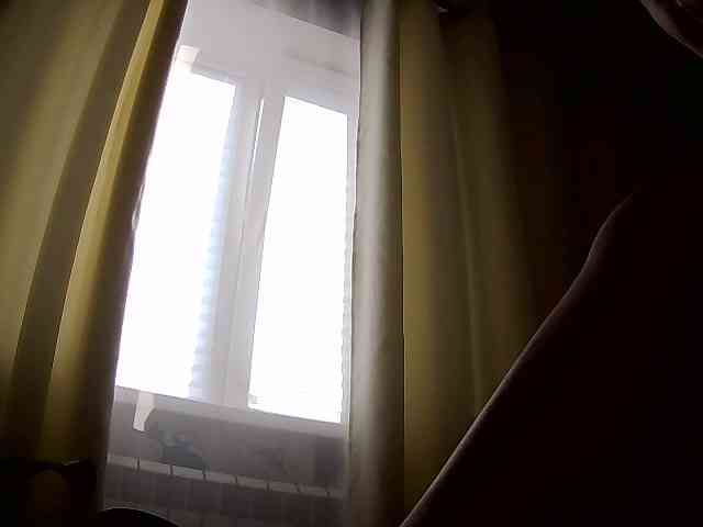 Danozka webcam