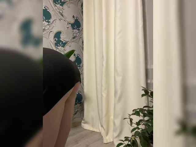 Danozka webcam