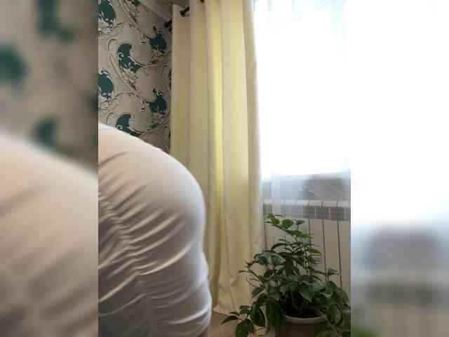 Danozka webcam