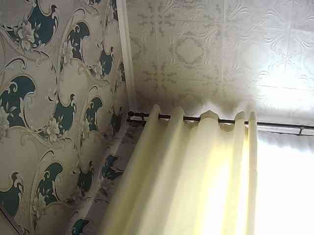 Danozka webcam