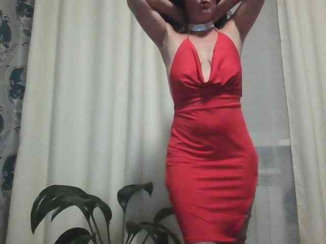 Danozka webcam
