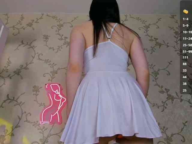 Ann-Sweer webcam