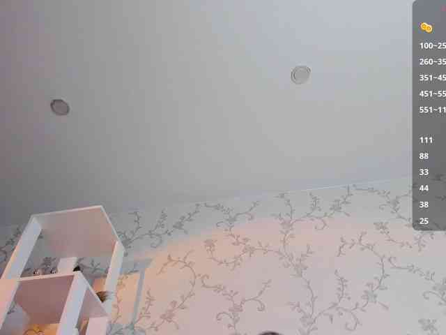 Ann-Sweer webcam