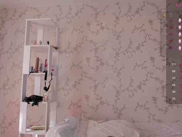 Ann-Sweer webcam