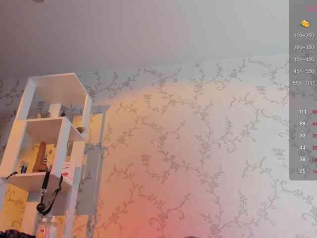 Ann-Sweer webcam