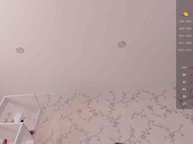 Ann-Sweer webcam