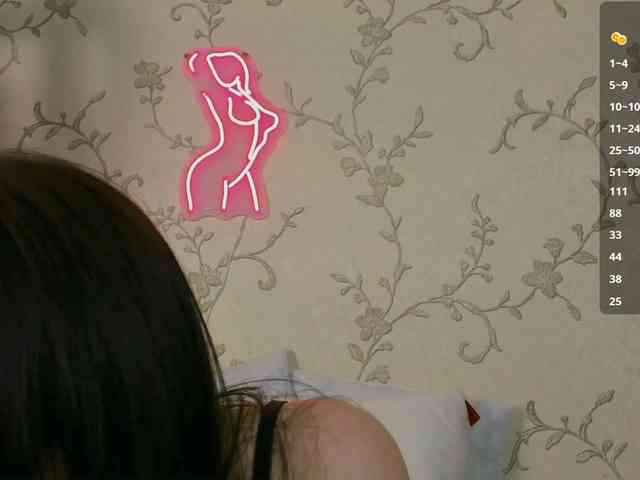 Ann-Sweer webcam