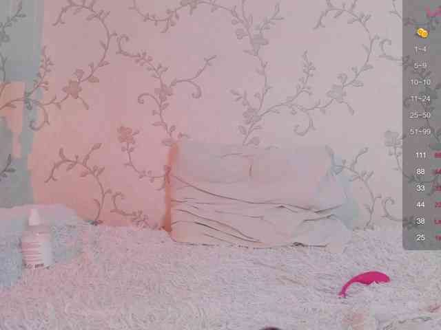 Ann-Sweer webcam