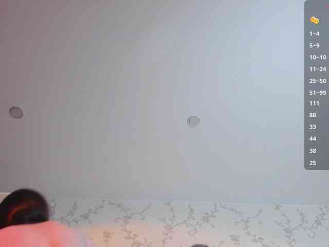 Ann-Sweer webcam