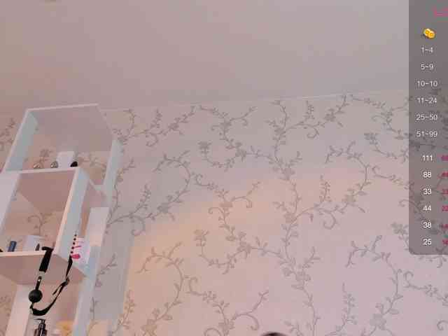 Ann-Sweer webcam