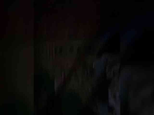 Perverse-family webcam