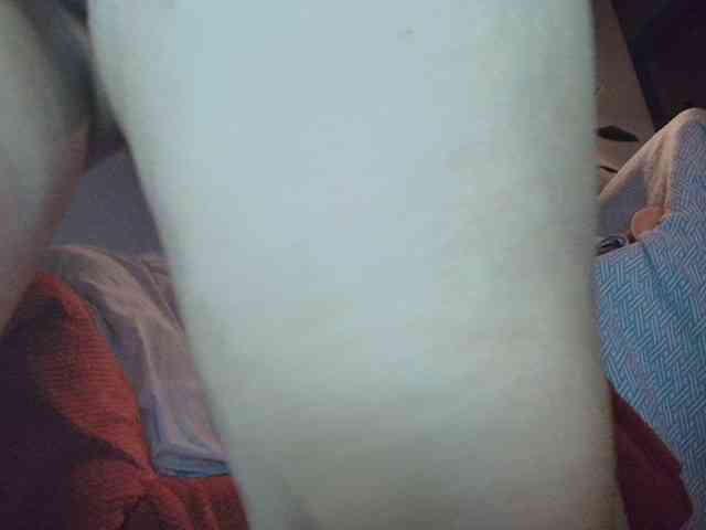 CleopatraVodos webcam