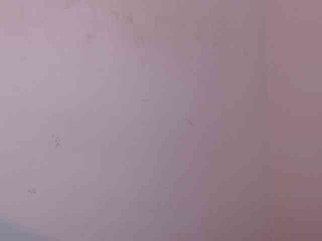 Dakota18 webcam