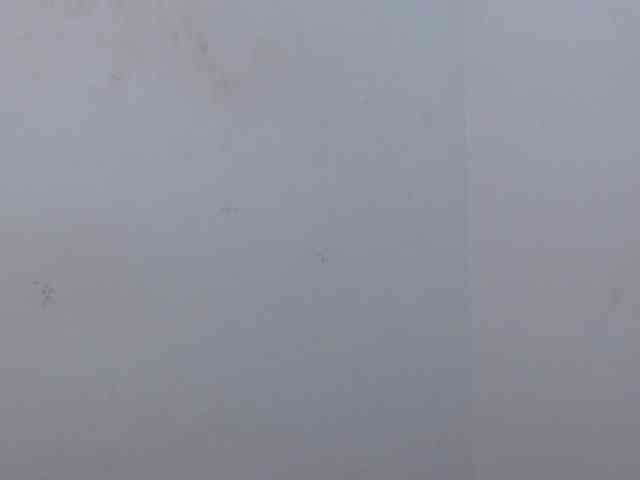 Dakota18 webcam