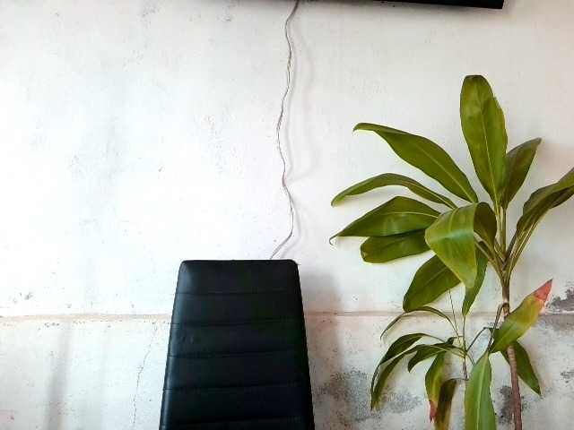 Bellacrespa Live Cam on BongaCams