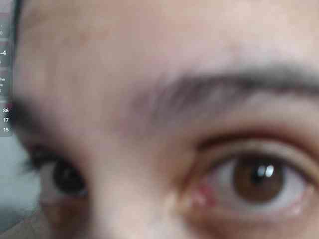 Ailacute webcam