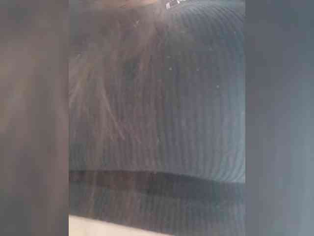 EinnyMure webcam