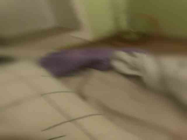Martrahera webcam