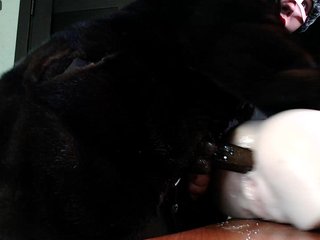 Lilydomi Porn Show