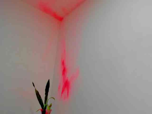 ronnie-7777 ronnie-7777