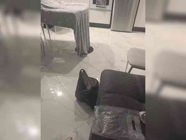 AlinaDimaBIPARA webcam