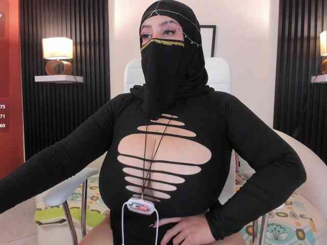 hana-falak webcam