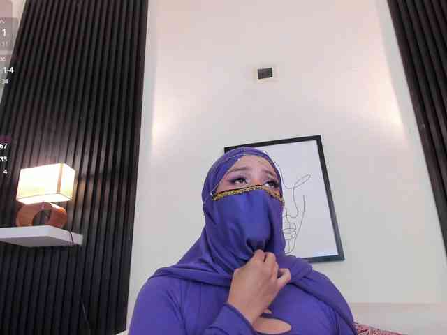 hana-falak webcam