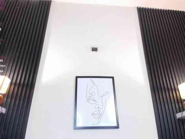 hana-falak webcam