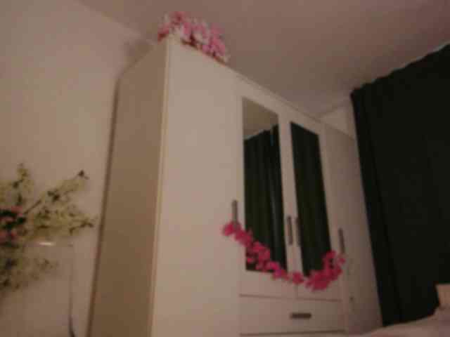 kaylalaine1 webcam