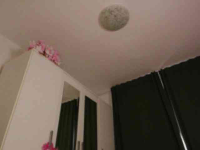 kaylalaine1 webcam