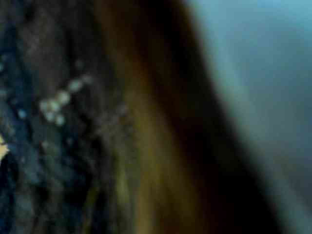 kaylalaine1 webcam